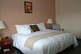 Spacious suites